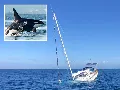 Jessica Radcliffe orca támadása után ismét lecsapott az orca a Gibraltári-szorosban