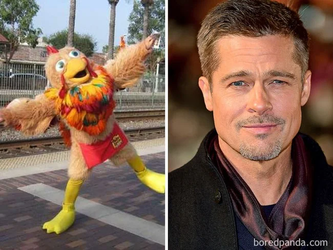 brad pitt csirke jelmez