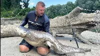 Harcsahorgászat vertikális módszerrel – A mélység titkai nyomában