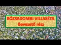 Rózsadomb rejtett arca: villák, történelem és budai elegancia