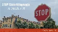 Stop Tábla Világnapja – Egy nap, amikor tényleg érdemes megállni