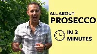 7 + 1 zsenális mód, ahogy idén ünnepelheted a Nemzetközi Prosecco Napot augusztus 13-án