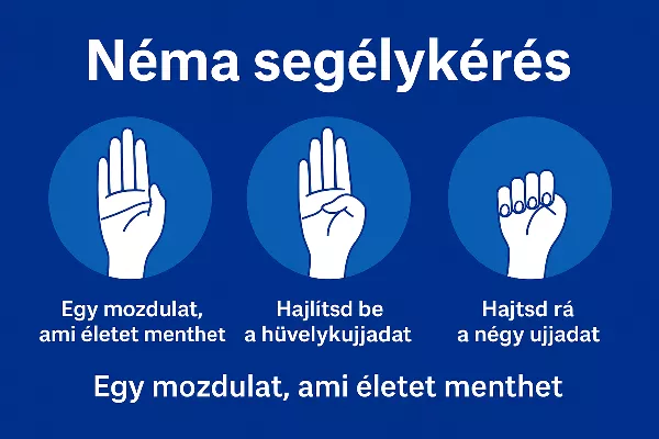 Ismét működött a néma segélykérés, bántalmazott nő kért segítséget