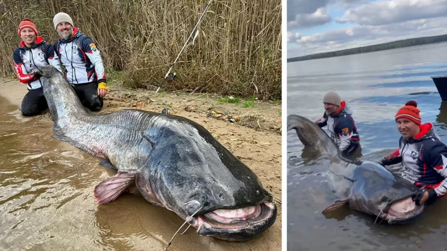 Rekordméretű harcsa Lengyelországból – 292 centis fogás a Rybniki-tóból (videó)