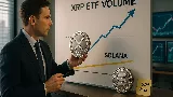 Elemző szerint az XRP meg fogja dönteni a Solana ETF 52 millió dolláros rekordját