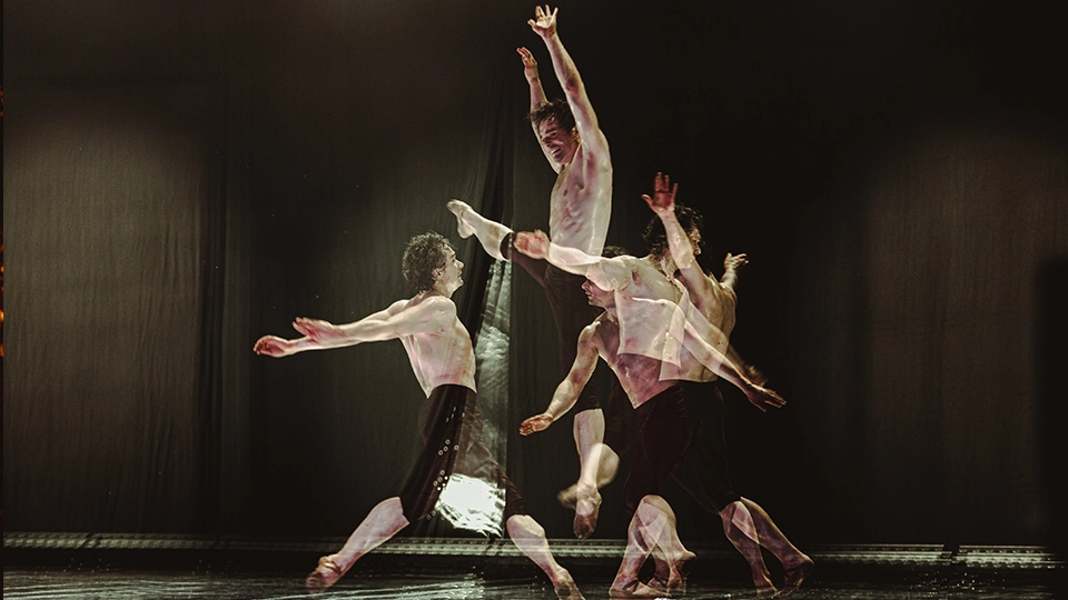 Müvészetek Völgye 2026