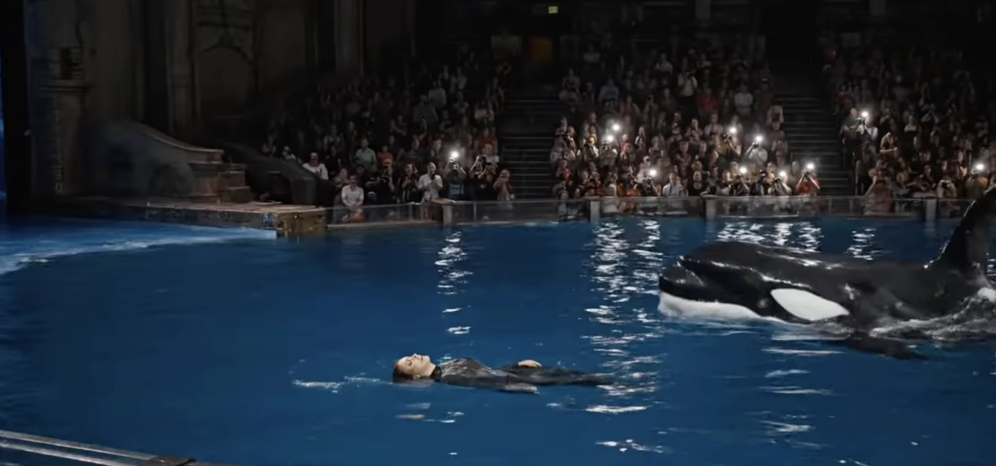 Jessica Radcliffe orca