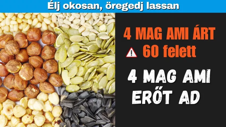 Négy mag, amit jobb kerülni, és négy mag, ami erőt ad minden nap