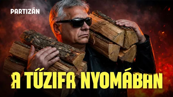 Fagy, tűzifa és lojalitás: botrányos faosztás Olaszliszkán