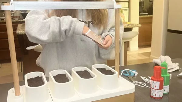 A konyhák új titkos kedvence: Mini hidroponikus zöldfűszer termesztő a konyhapultra