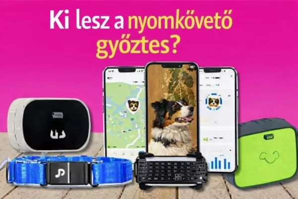 A kutya eltűnik, a pánik marad – ezért lett kulcskérdés a GPS nyomkövető