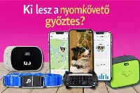 A kutya eltűnik, a pánik marad – ezért lett kulcskérdés a GPS nyomkövető