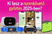 A kutya eltűnik, a pánik marad – ezért lett kulcskérdés a GPS nyomkövető