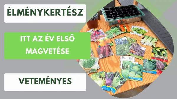 Korai vetés titkai: ezekkel a zöldségekkel indul jól a szezon🌱