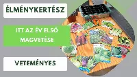 Korai vetés titkai: ezekkel a zöldségekkel indul jól a szezon🌱