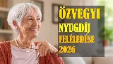 Özvegyi nyugdíj feléledése 2026 – a 10 és 15 éves határidő titka