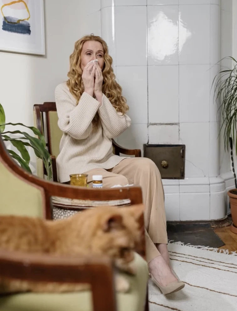 Pollen allergia nátha