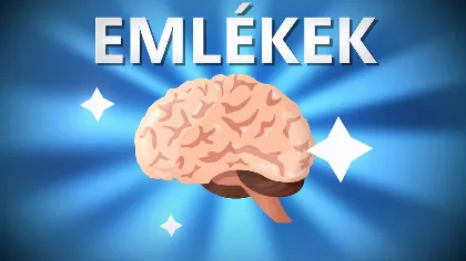 Az agyad hazudik? Így manipulálja az emlékeidet a memória