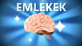 Az agyad hazudik? Így manipulálja az emlékeidet a memória