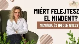 Miért felejtesz el mindent, amit megtanulsz? A memória meglepő titka