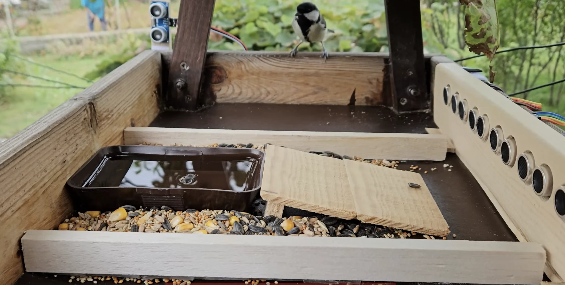 okos_madareteto_ hazilag