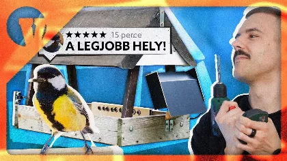 Okos madáretető házilag – így figyelheted meg a kert madarait rejtett kamerával