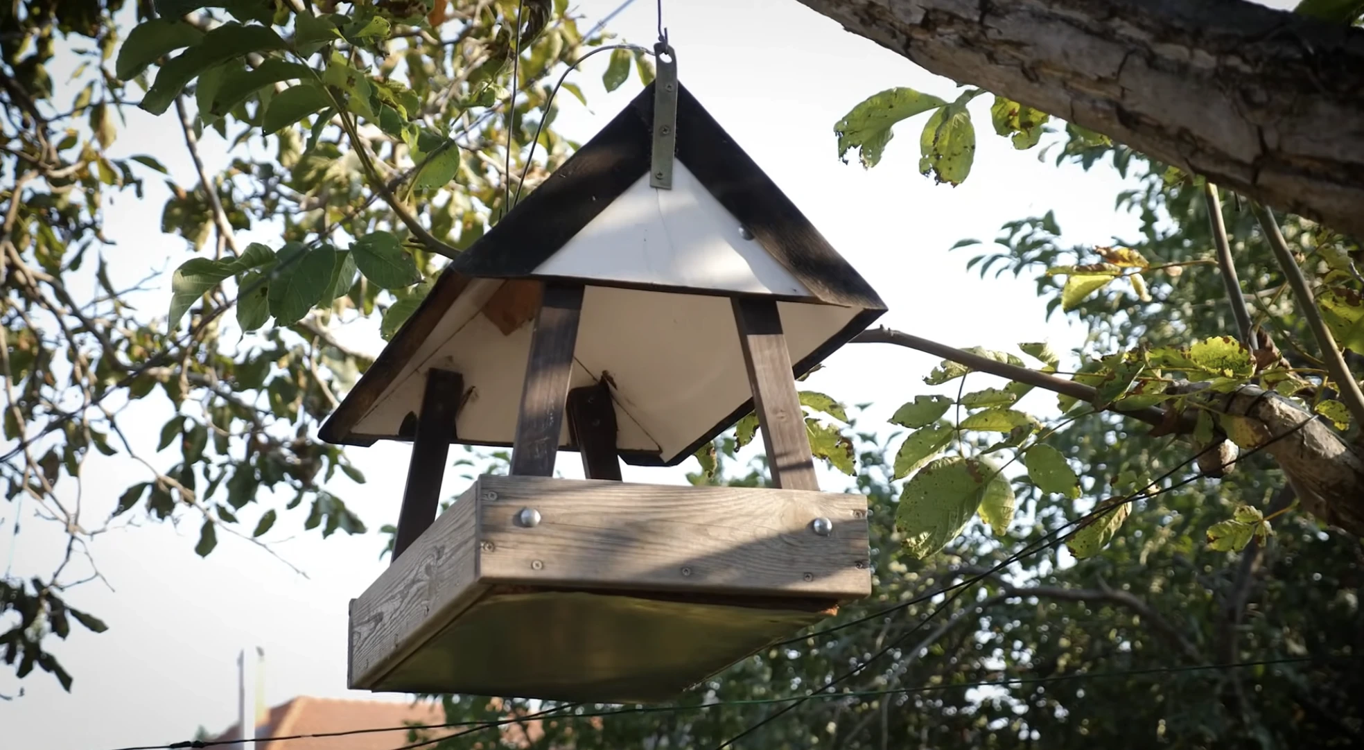 okos_madareteto_ hazilag