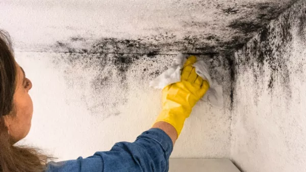 A penész a falon: így rontják el a tisztítást a legtöbben