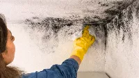 A penész a falon: így rontják el a tisztítást a legtöbben
