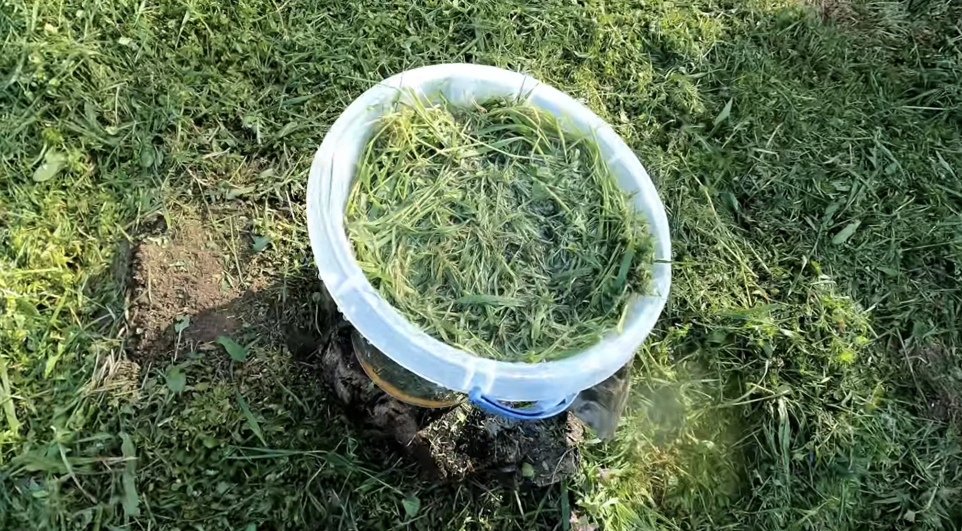 fű kert trágya komposzt  mucsolás