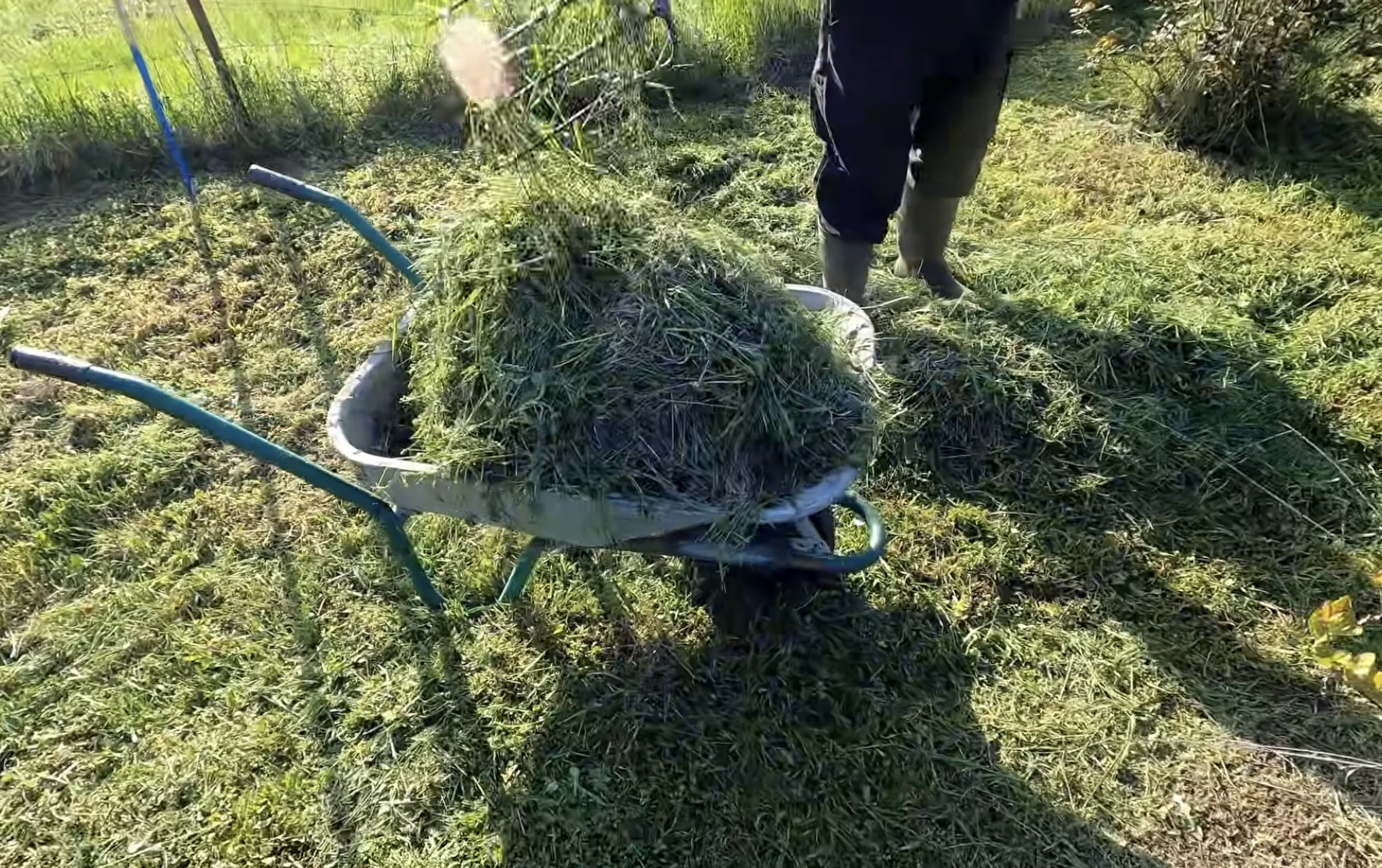 fű kert trágya komposzt 