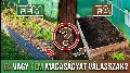 Fém vagy fa magaságyás? Őszinte tapasztalatok egy év használat után