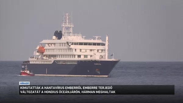 A hantavírus nagyon ritka változatát mutatták ki egy óceánjárón