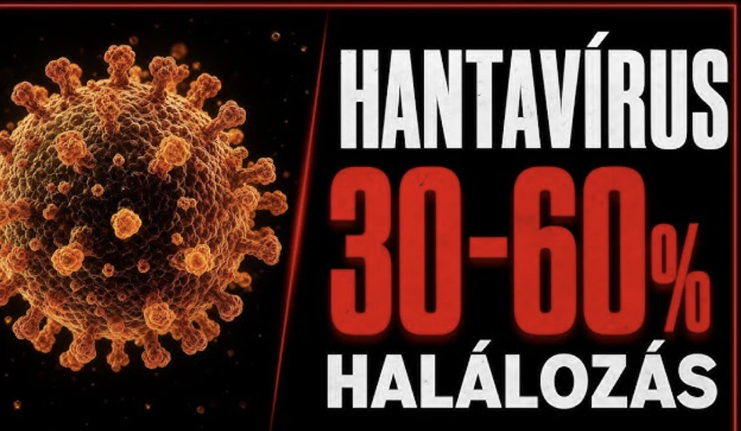 hantavírus