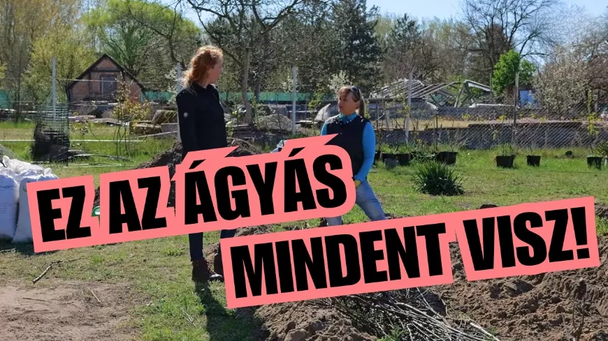 A bioágyás titka, ami évekre megváltoztathatja a kertet