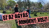 A bioágyás titka, ami évekre megváltoztathatja a kertet