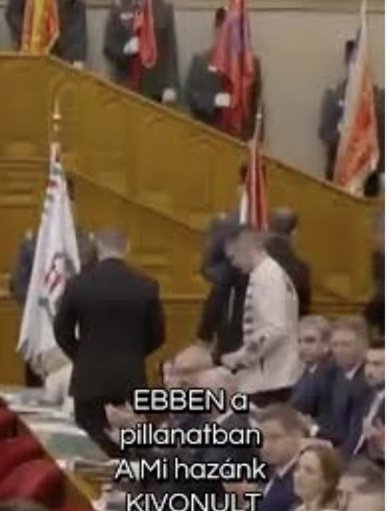 Mihazánk kivonul a parlamentből sükösdi gyerekek előadása