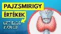 Pajzsmirigyprobléma állhat a fáradtság, hízás vagy a fogyás mögött: nem mindegy, milyen vitamint és ételt választunk