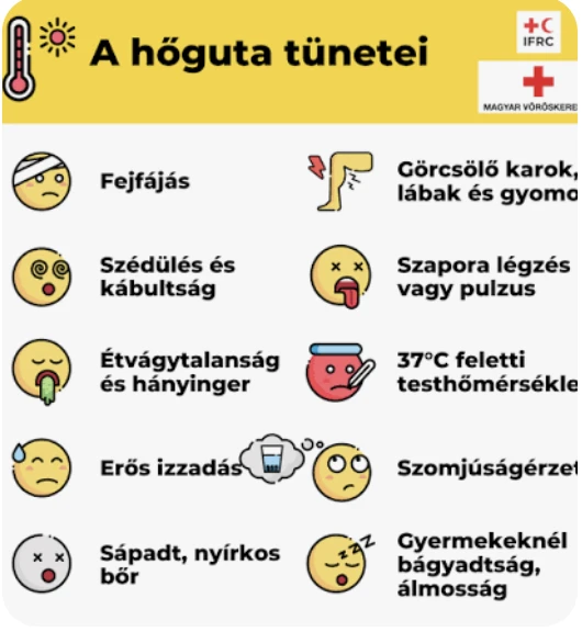 hőguta