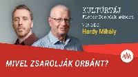 Hardi Mihály súlyos szavai: már csak Oroszország miatt szégyenkezik