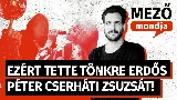 Cserháti Zsuzsa – egy csodálatos hang és egy megtört pályafutás története