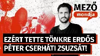Cserháti Zsuzsa – egy csodálatos hang és egy megtört pályafutás története