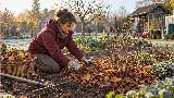 Novemberi kerti teendők, amiket tavasszal már nem lehet bepótolni