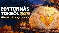 Egytonnás töknek estek neki halloween előtt – elképesztő, mi lett belőle!