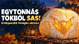 Egytonnás töknek estek neki halloween előtt – elképesztő, mi lett belőle!